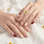 Creamy Crimson Daisy