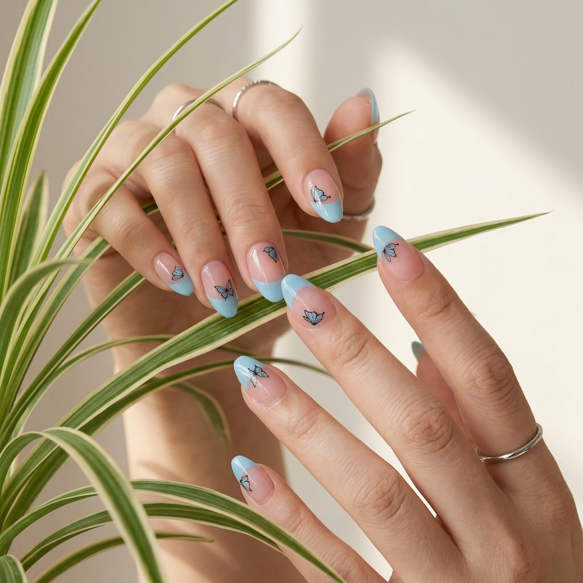 Sky Flutter French