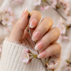 Cherry Blossom Glow