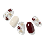Creamy Crimson Daisy