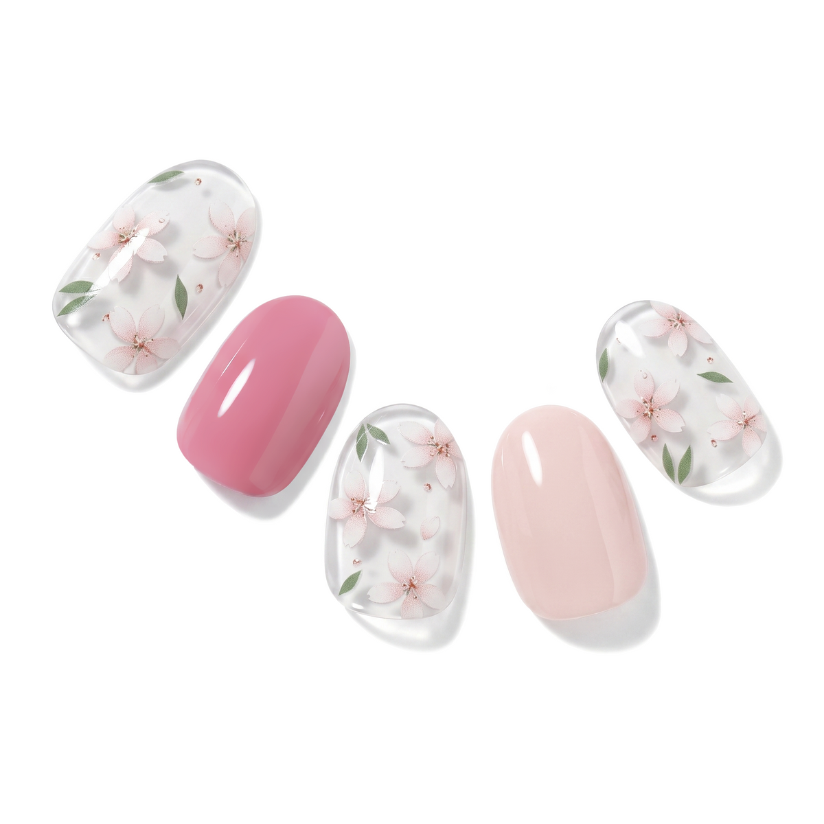 The Botanical Bloom Bundle
